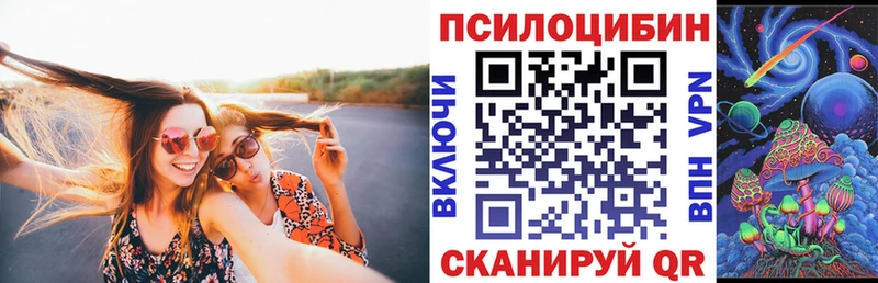 магазин  наркотиков  мориарти клад  Псилоцибиновые грибы Psilocybe  Почеп 